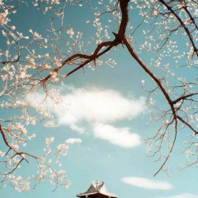 “从不买大米”的日本大臣辞职